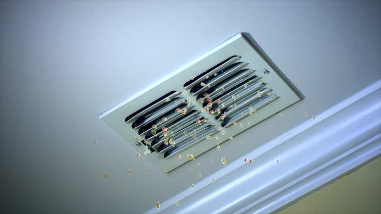 Best Air Duct Cleaning Company Near Me  in Pascagoula, MS