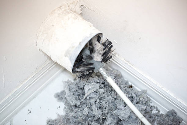 Best Affordable Duct Cleaning Services  in Pascagoula, MS
